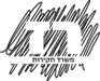 רז חקירות לוגו